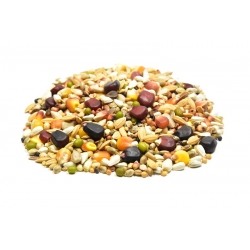 LSE Lotowa Super Energy bez nasion strączkowych 25kg