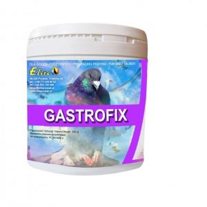GASTROFIX 250g