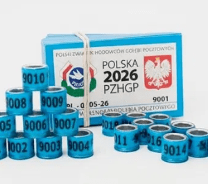 Obrączki dla gołębi FCI z kartą 2026